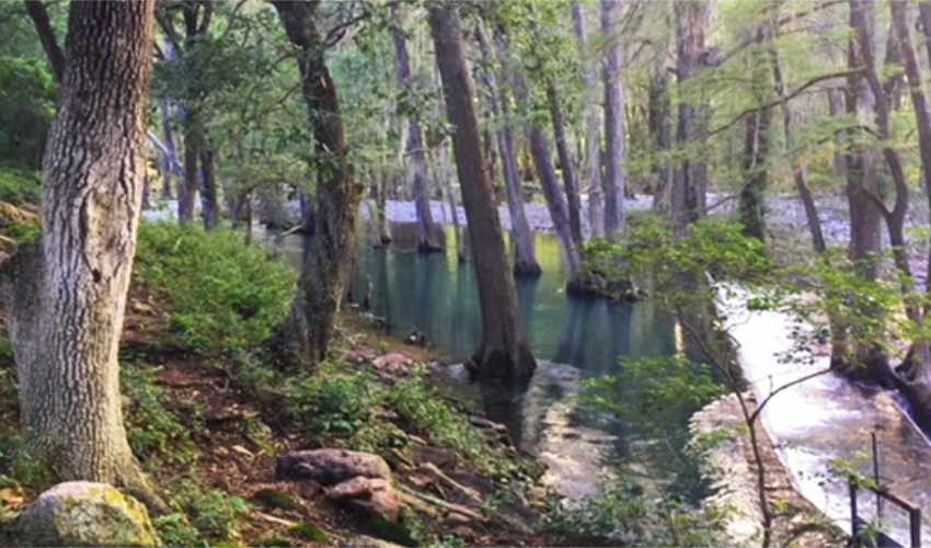 El Salto del Tigre